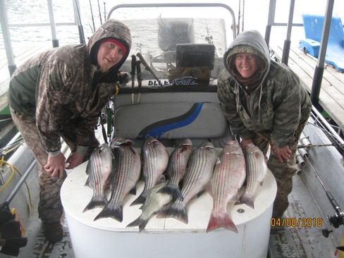 Nice Striped Bass